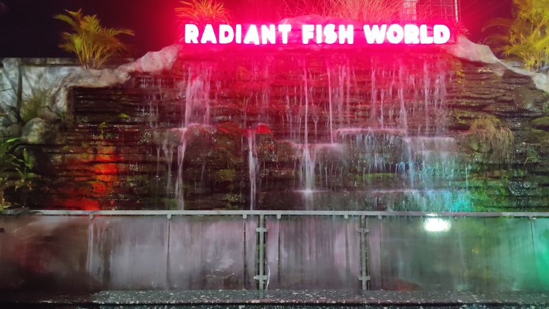 Radiant Fish World